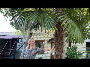 7 июля 2024 г.