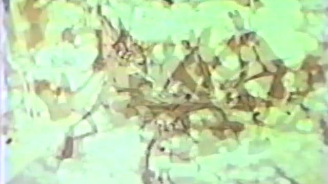 Plymouth Roadrunner & GTX Commercials