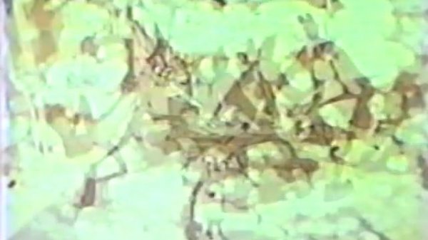 Plymouth Roadrunner & GTX Commercials