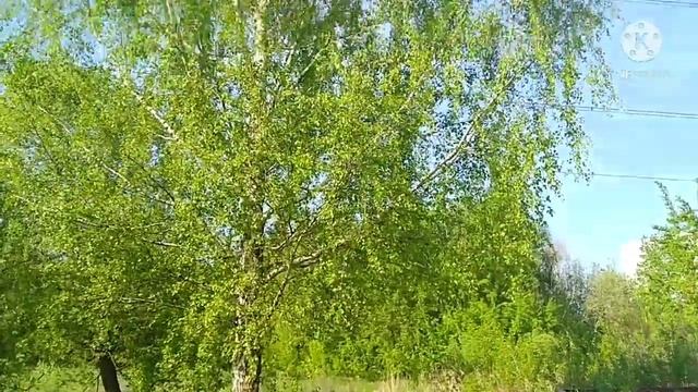 Прогулка по окрестностям Джамгаровского пруда 17.05.2021. #Джамгаровскийпруд #окрестностипруда смотреть онлайн