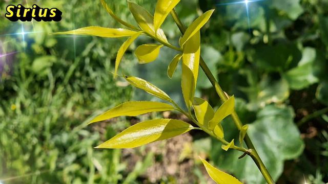 Чтобы проблемы обходили Вас стороной не делайте это смотреть онлайн