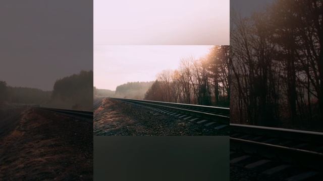 The sound of train wheels. Sound sleep. Стук колес поезда. Крепкий сон. #relax #sleep #звукидлясна смотреть онлайн