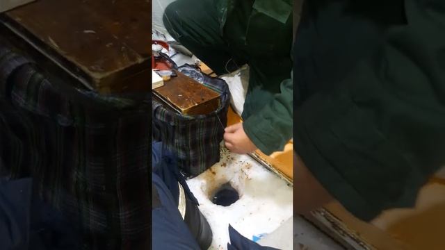 Ловля пеляди в щучинске смотреть онлайн