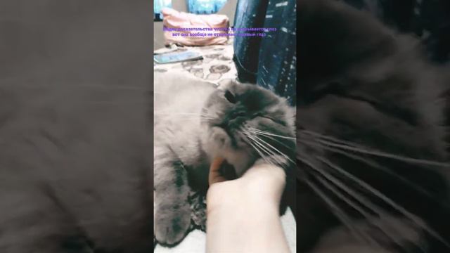 видео доказательства что она вообще не открывает правый глаз смотреть онлайн