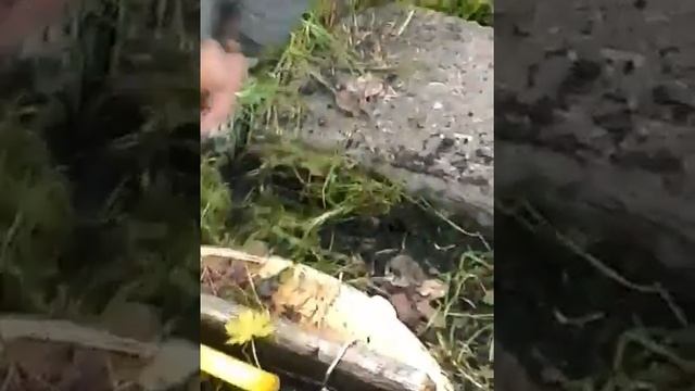 Строительные Шедевры