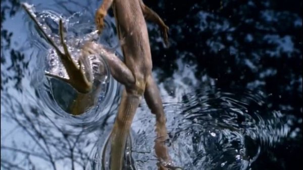 Анонсы (Animal Planet, 13.06.2022)