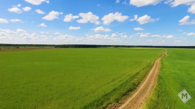 Рекламный ролик спортивного мероприятия смотреть онлайн