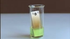 железо с азотной кислотой