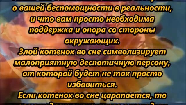 К чему снятся котята смотреть онлайн