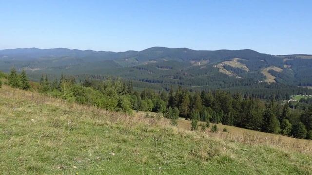 Карпаты осенью | Озера, водопады и медведи - что посмотреть? | Одни дома смотреть онлайн