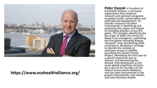 COVID 19 Omicron WHY HOW WHAT смотреть онлайн