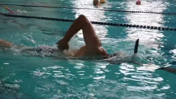 Stamina Swimming Club