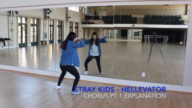 [ECLIPSE] Stray Kids(스트레이 키즈) - Hellevator Dance Tutorial | Prechorus + Chorus смотреть онлайн