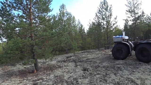 ЗАБЫТОЕ ОЗЕРО В ТАЙГЕ. РЫБАЛКА НА ЩУКУ. смотреть онлайн