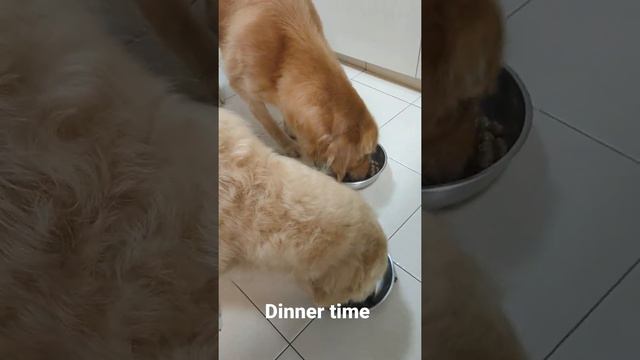 #🍽 Dinner time смотреть онлайн