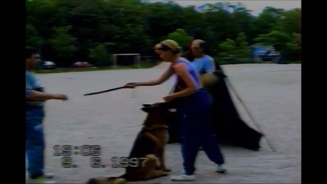 Дрессировка с Геннадием Севериным и Борисом Томшинским. Днепр. 1997 год смотреть онлайн