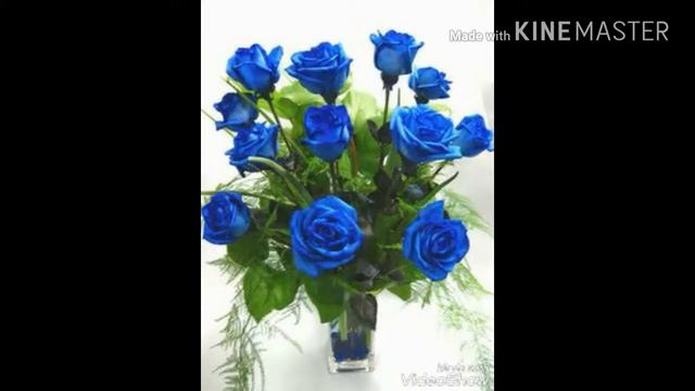 СМЕШНАЯ ПЕСНЯ ПРО ШОКОЛАД. ЧАСТЬ 2. Исполняют бурундуки)