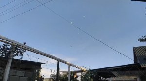 Алматинские "скобатые" бойные голуби. Казахстан, г. Жаркент (Панфилов). Tauben. Pigeons.