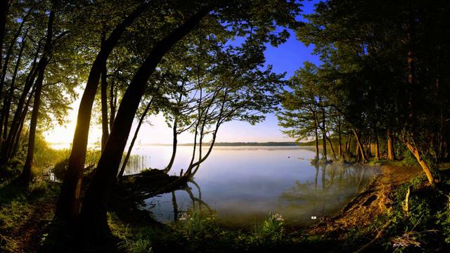 Жизненные истории /Внучка /Интересные душевные истории /Истории из жизни смотреть онлайн