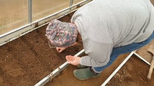 Посев в теплице в апреле