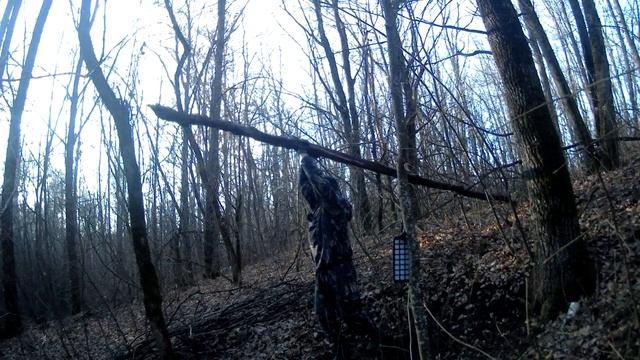 ПРОЕКТ "НОРА" - ДЕНЬ 2 (НАВЕС ИЗ СТРЕЙЧ ПЛЁНКИ) - DAY 2 | CANOPY MADE OF STRETCH FILM смотреть онлайн