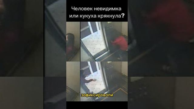 в Телеграме T.me/zashifrovannay