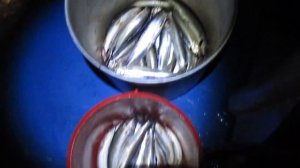 Рыбалка. Ночная ловля омуля на ФАРУ .  БАЙКАЛ