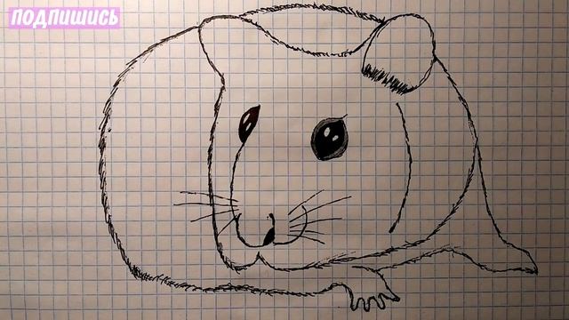 Как нарисовать ХОМЯКА) Уроки рисования, учимся штиховать смотреть онлайн
