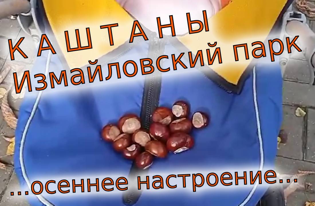 Собираем каштаны в Измайловском парке смотреть онлайн