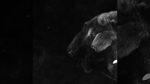 black soul (intro) смотреть онлайн