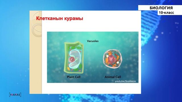 10 класс - КГ - Биология - №2 - Цитология илими смотреть онлайн
