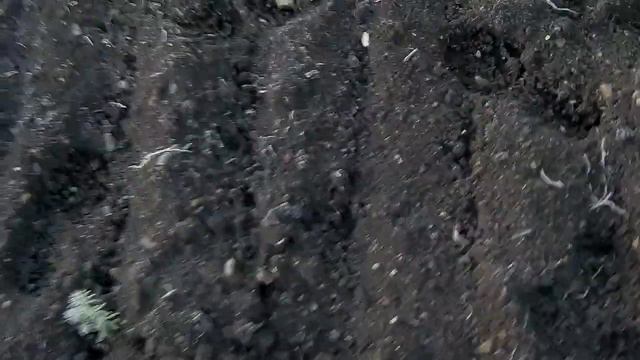 УДАРИЛ МОРОЗ начало октября 7 число смотреть онлайн