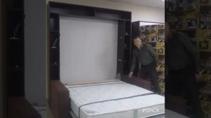 Шкаф-кровать откидная вертикальная встроенная с диваном Прайм Дизайн