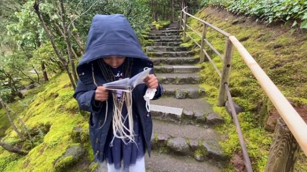 Japanese Rose Garden