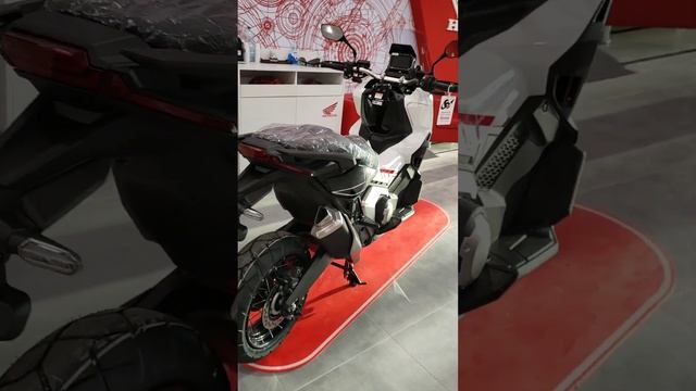 Honda X-ADV 750 my 2023 colore SHASTA WHITE смотреть онлайн