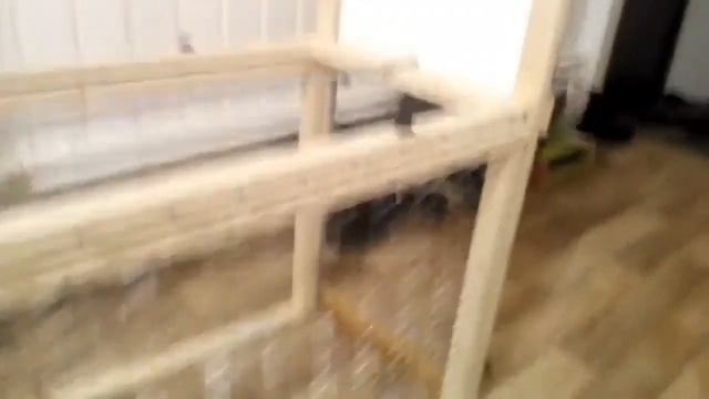 Ловушка на фазана живоловушка Trap pheasant zhivolovok смотреть онлайн