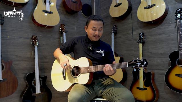 Kepma Guitar ( ES36 Model )