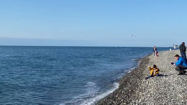 22.12.2022. Погода в Сочи в декабре. Смотри на Чёрное море каждый день. смотреть онлайн