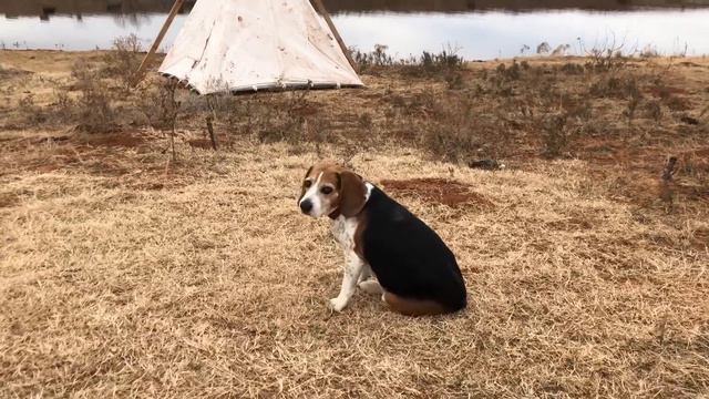 Easy Sausage Breakfast Casserole - Christmas Inspired Recipe смотреть онлайн