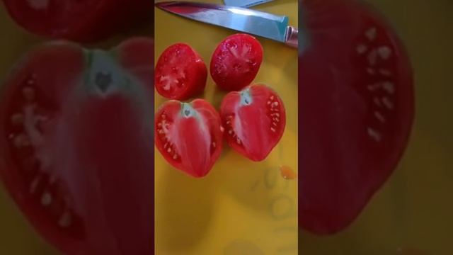 Коллекционные сорта томатов Ужин Контадино и Бычье сердце от Манукяна смотреть онлайн