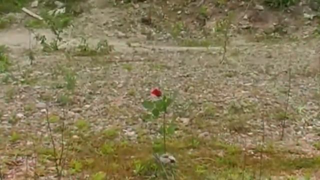 Айре и Саруман - Ка-тет смотреть онлайн