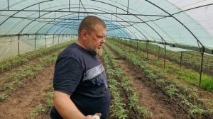 [ИДЕАЛЬНАЯ ВОДА ДЛЯ ТОМАТА] , Какое EC и Ph должно быть с подкормкой для томата