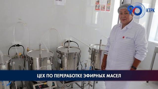 Цех по переработке эфирных масел смотреть онлайн