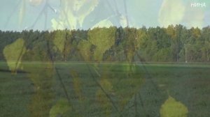 МАЛАЯ РОДИНА - ст. Умрихин, муз и исп Н.  Жуков