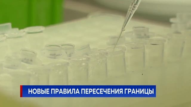 НОВЫЕ ПРАВИЛА ПЕРЕСЕЧЕНИЯ ГРАНИЦЫ смотреть онлайн