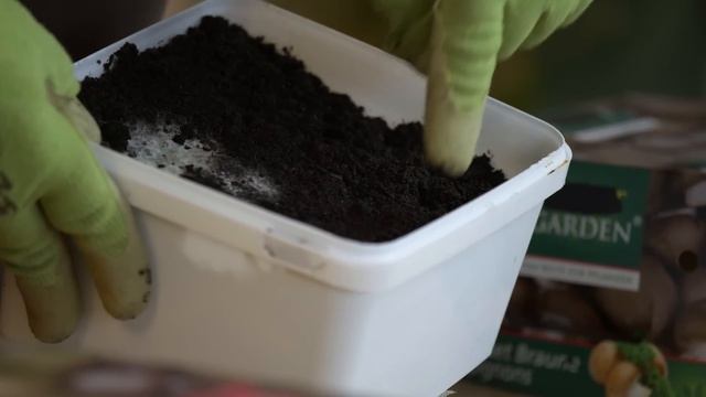 Champignons zuhause züchten ? - so einfach kann man Pilze anbauen смотреть онлайн