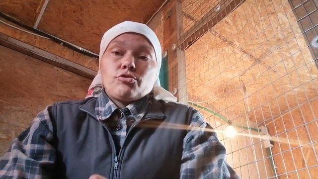 Почему плохо растёт бройлер смотреть онлайн