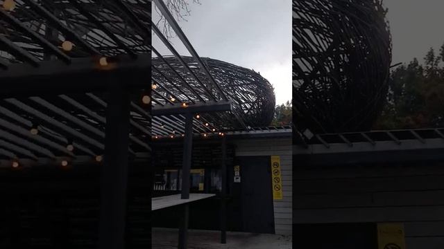 Утро на море. Кафе 