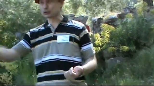 История рассказанная на горе Олимп смотреть онлайн