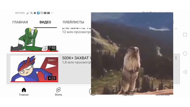 Я прос|\/|отрел Все Видео на канале Zakatoon (их там больше 100) | 3,8 миллиона подписчиков о. о смотреть онлайн